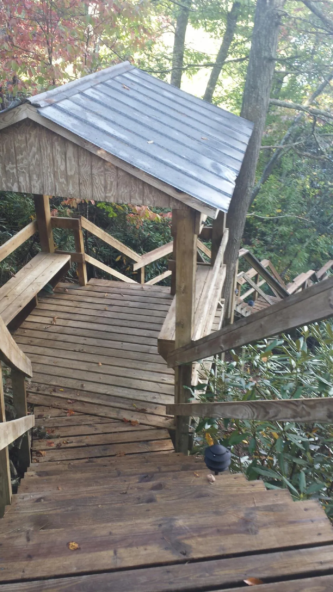 Metal roofed shelter over wooden steps on a wooded walkway — Skylight Repair & Installation work by our crew in Edisto Island